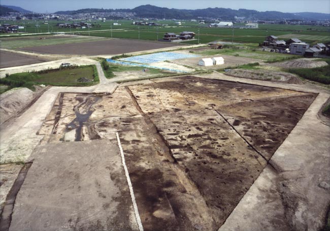 見つかった道路跡